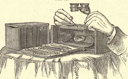 A picture containing text, book
Description automatically generated