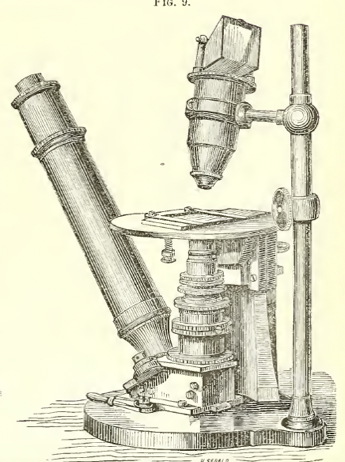 A picture containing text
Description automatically generated