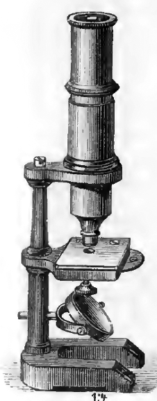F Ernecke’s catalogue’s catalogue (1884)
