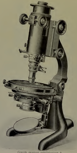 A picture containing indoor
Description automatically generated
