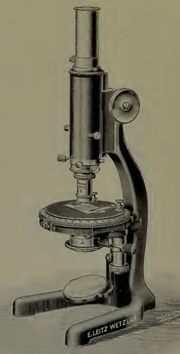 A picture containing indoor
Description automatically generated