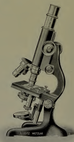 A close-up of an object
Description automatically generated with low confidence