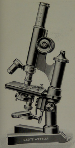 A picture containing wall, indoor
Description automatically generated