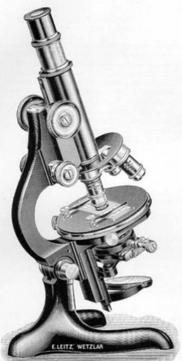 A close-up of a hand holding an object
Description automatically generated with low confidence