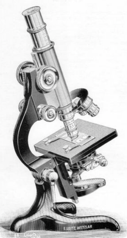 A close-up of a hand object
Description automatically generated with low confidence
