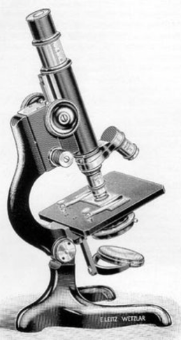 A close-up of an object
Description automatically generated with medium confidence