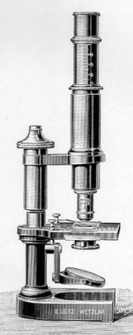 A picture containing indoor
Description automatically generated
