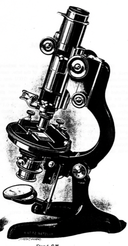 A picture containing black
Description automatically generated