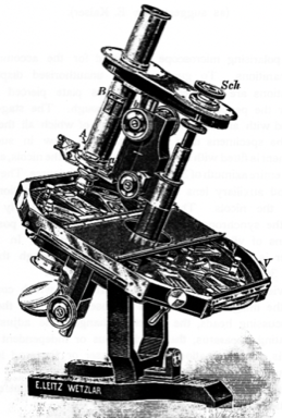 A picture containing outdoor, black
Description automatically generated