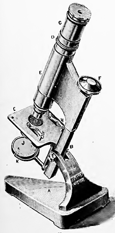 Beck Star Microscope Arnold & Sons’ catalogue (1900)