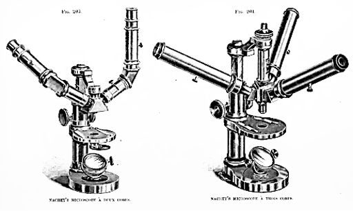 JRMS 1887 (pp. 799)