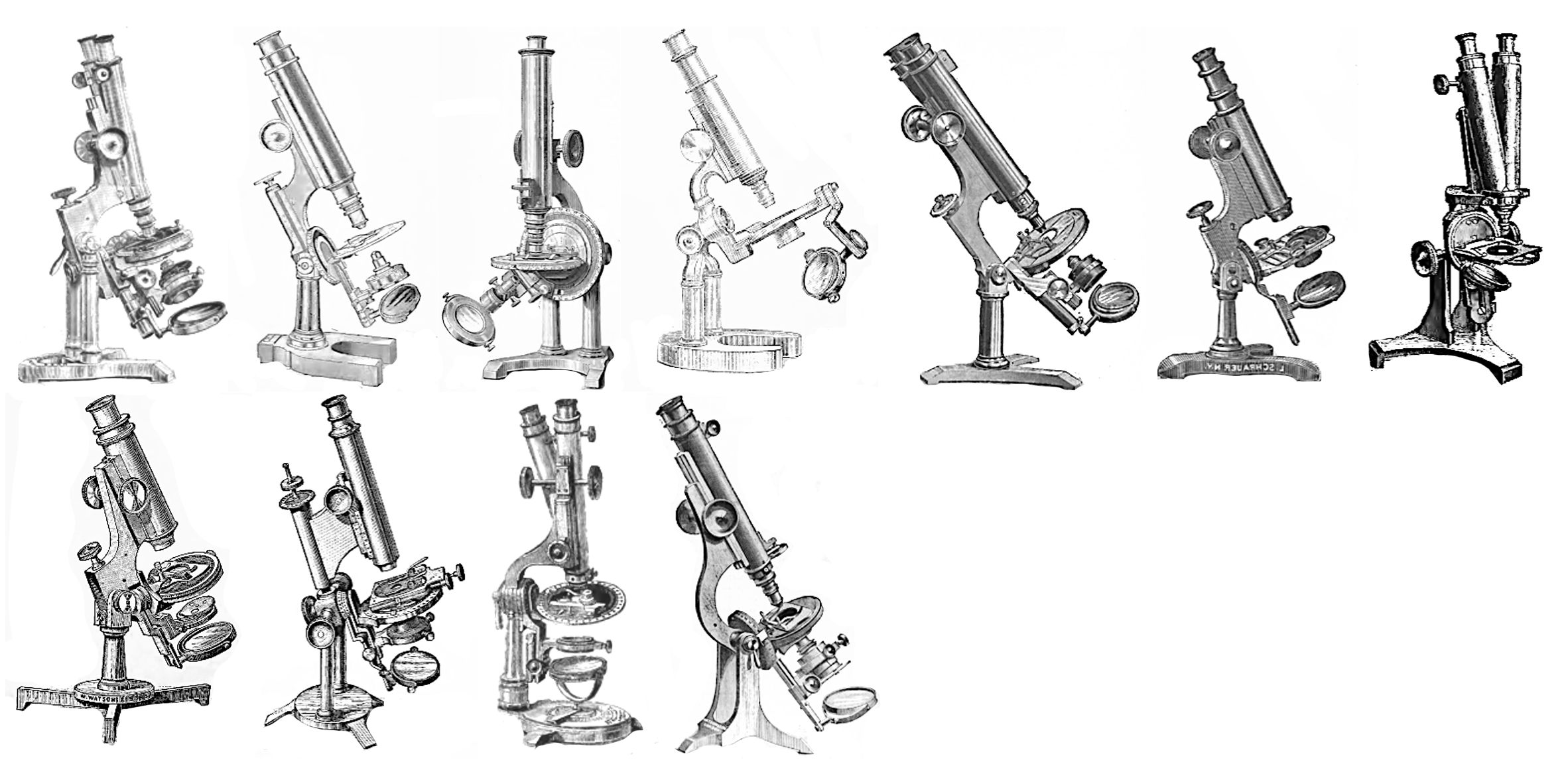 A group of microscopesDescription automatically generated with low ...