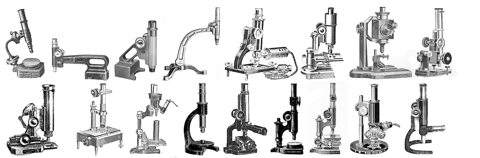 A group of microscopesDescription automatically generated with low ...