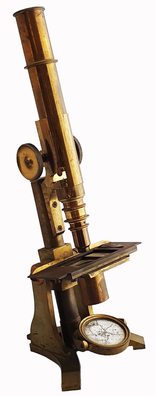 First Backer Microscope A close up of a clockDescription automatically generated