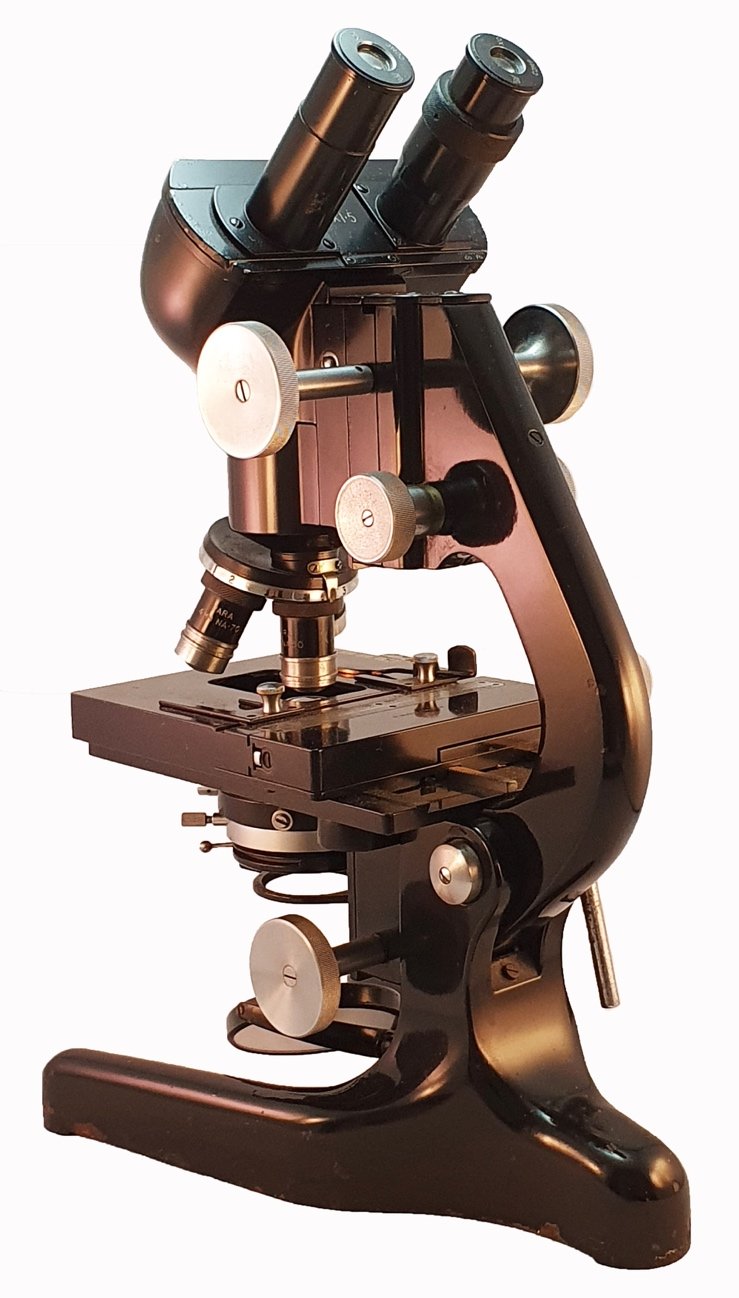 A close-up of a toyDescription automatically generated with medium ...