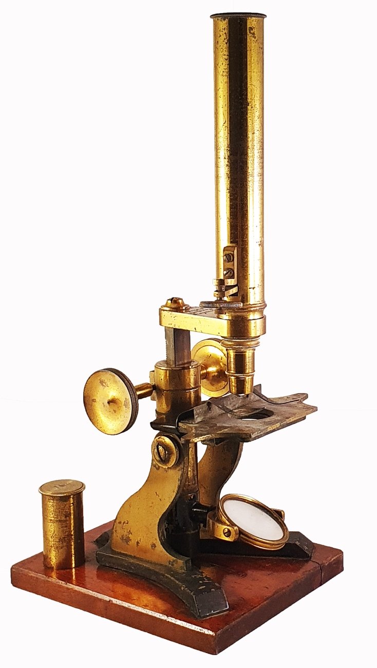 Microscope 232 (Aronsberg; Society of Arts type microscope; 1880s)
