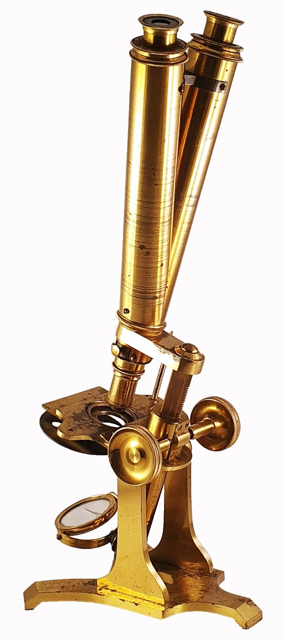 Microscope 234 (assigned to C Collins; binocular microscope; c. 1870)