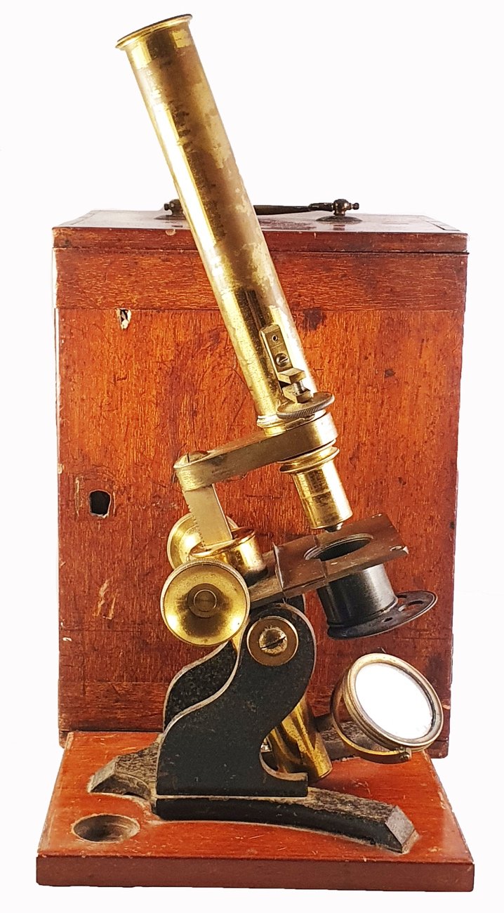 A picture containing indoor, woodenDescription automatically generated