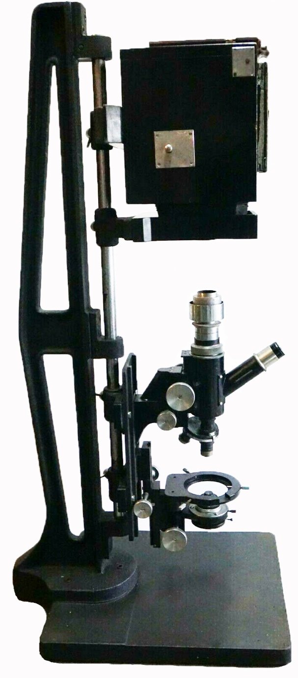 Microscope 247 (W. Watson & Sons; microphotographic apparatus; 1950s)