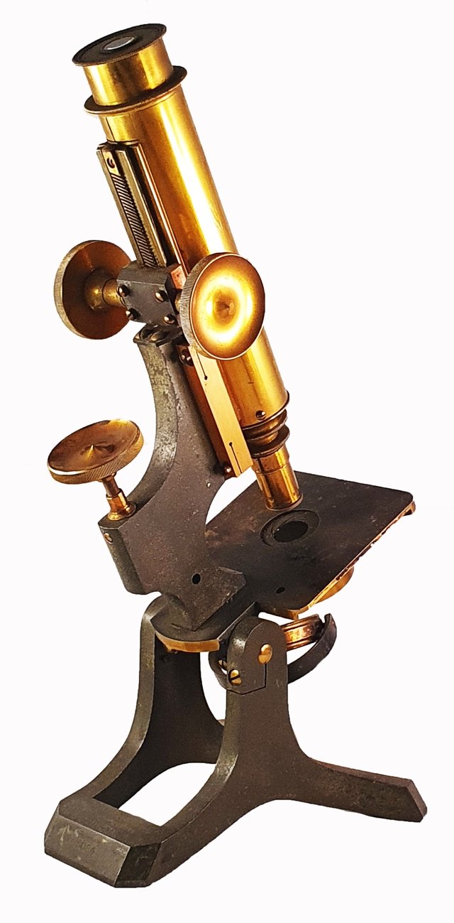 Microscope 298 (W Watson & Sons Ltd; histology microscope stand B; 1890s)