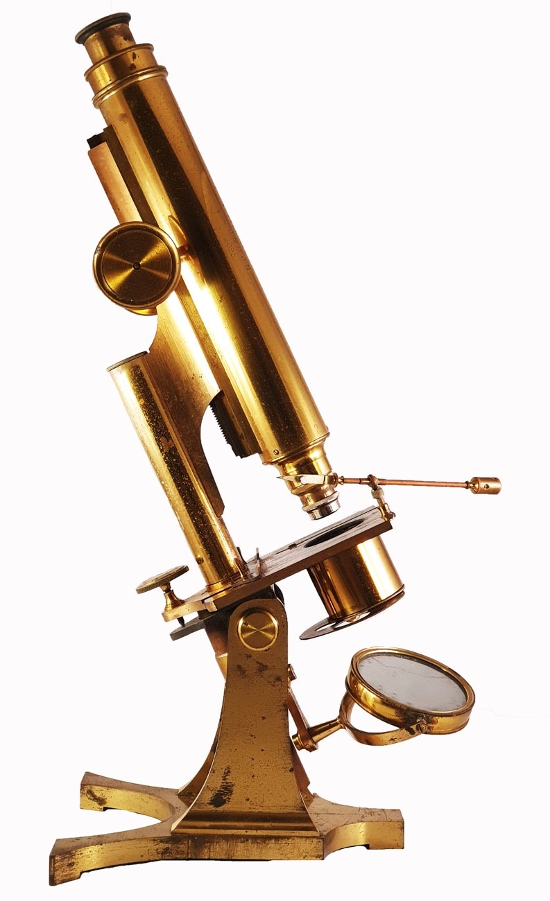 Microscope 304 (R & J Beck; student’s microscope; c. 1873)