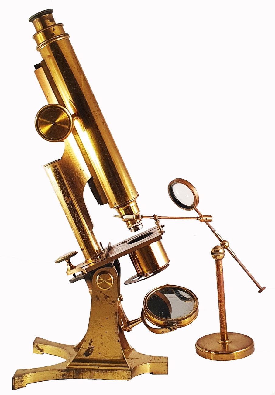 Microscope 304 (R & J Beck; student’s microscope; c. 1873)