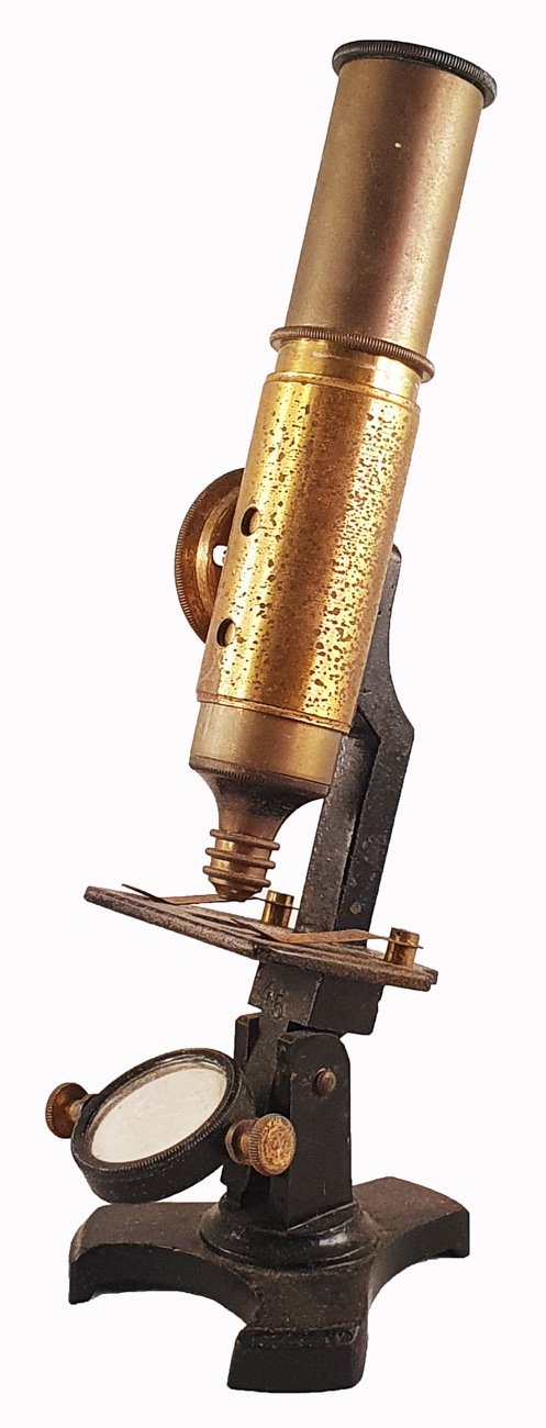 A picture containing weaponDescription automatically generated