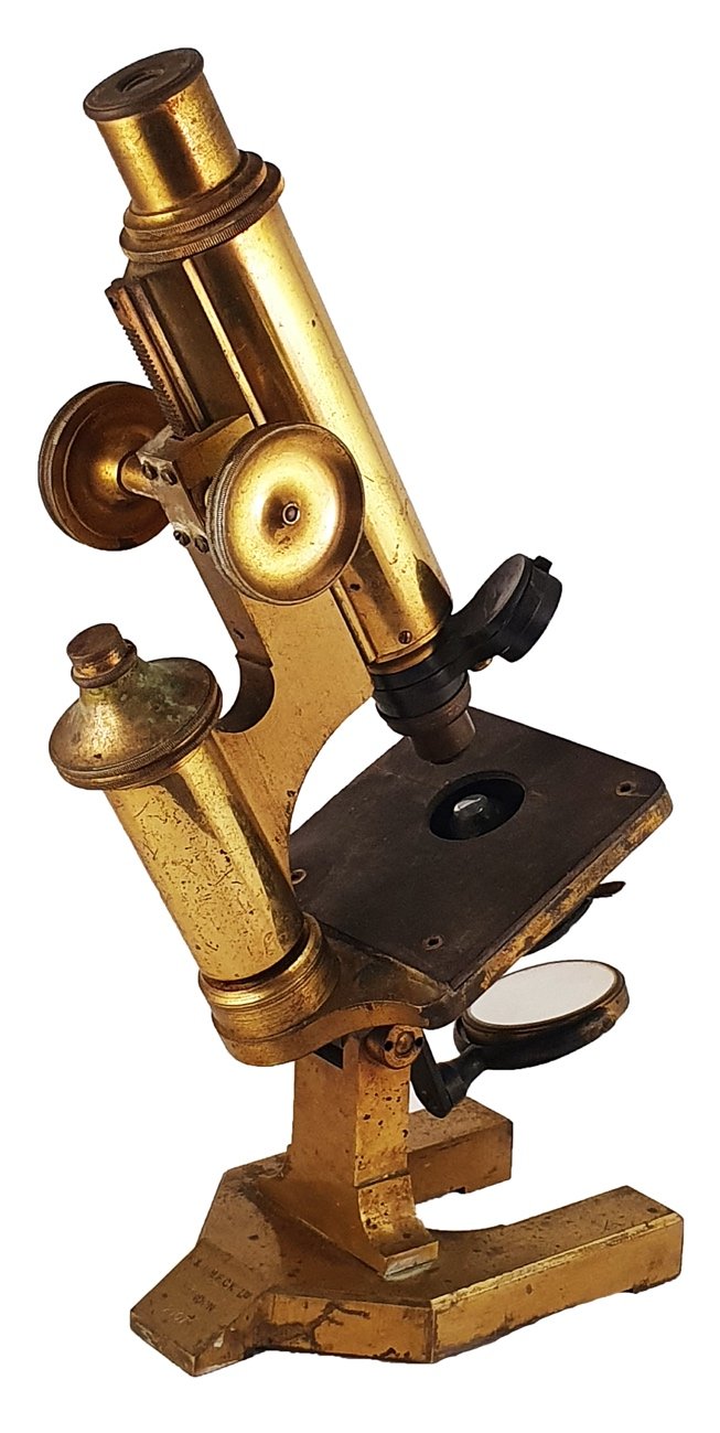 A picture containing sitting, brownDescription automatically generated