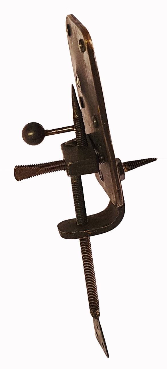 Figure 1. Drawing of an original Van Leeuwenhoek’s microscope (adapted ...