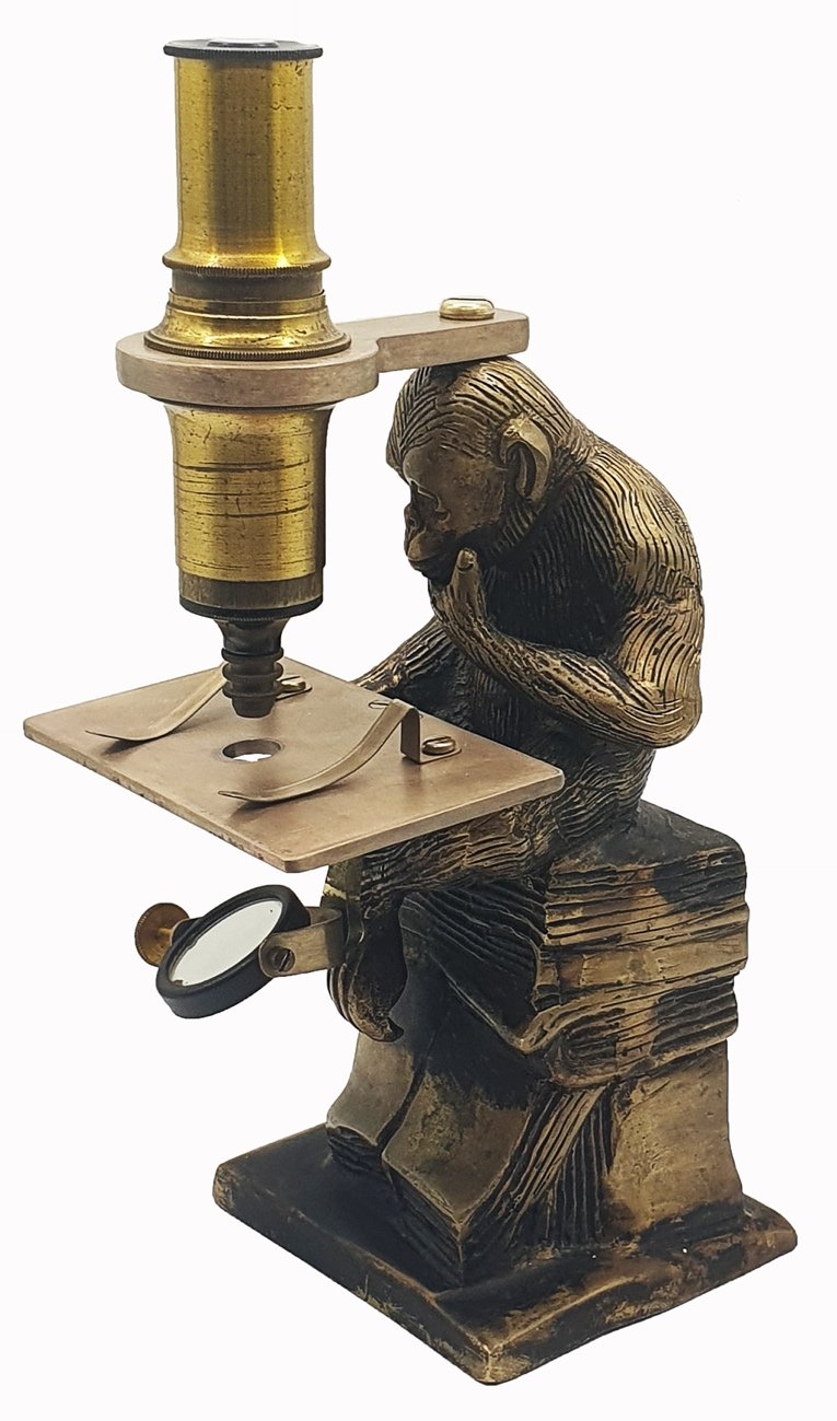Microscope Statue A statue of a monkey using a microscopeDescription automatically generated