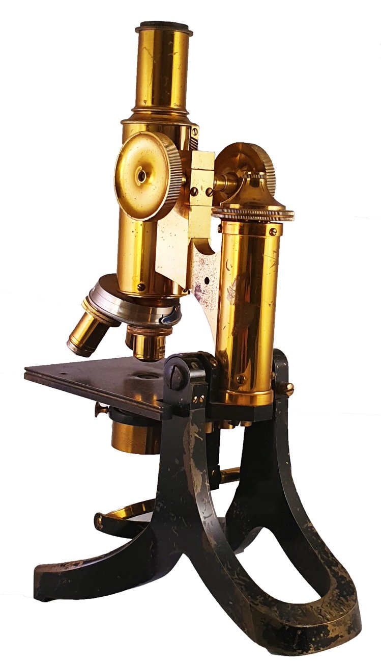 A picture containing sitting, black, front, yellowDescription ...