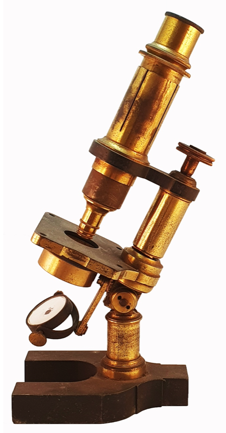 A close-up of a gavel
Description automatically generated with low confidence