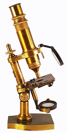 A picture containing indoor
Description automatically generated