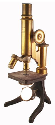 A close-up of a gavel
Description automatically generated with low confidence