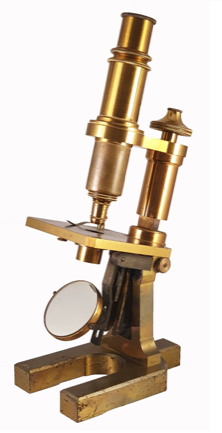 A picture containing indoor, table, small, sitting
Description automatically generated