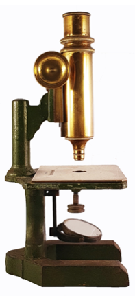 A picture containing old
Description automatically generated