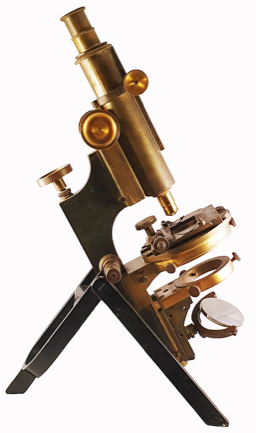 A close-up of an object
Description automatically generated with low confidence